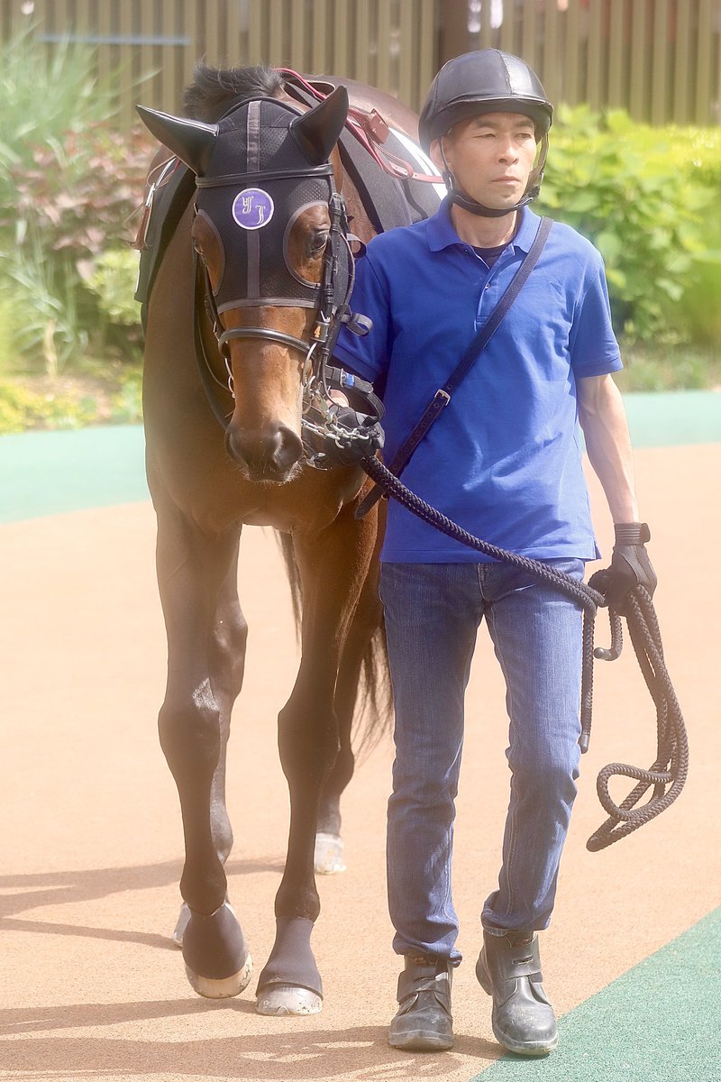 ウメ子♀ tweet media