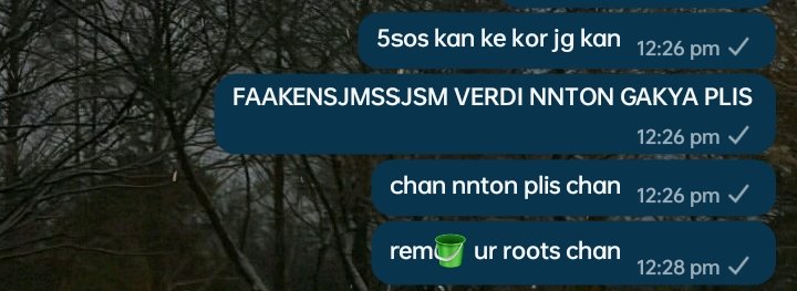 rei ⋆˚࿔ tweet media