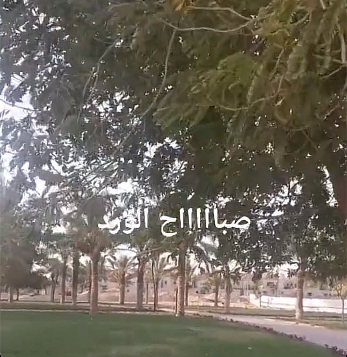عطــــــرالـروح tweet media