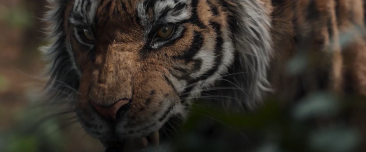 우아한 tweet media