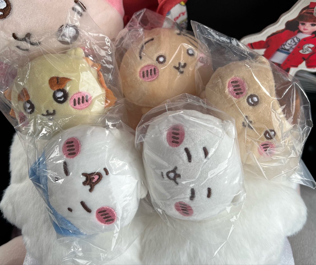 たまごっちシャカシャカチャーム3
ちょうど品出ししてて、1人３回制限で並んで回せました！
近くの方と交換してコンプ出来た😆
そして…
ちいかわねそべりぬいぐるみ②
こちらはストコン😆
ちいかわは平和に回せました😊