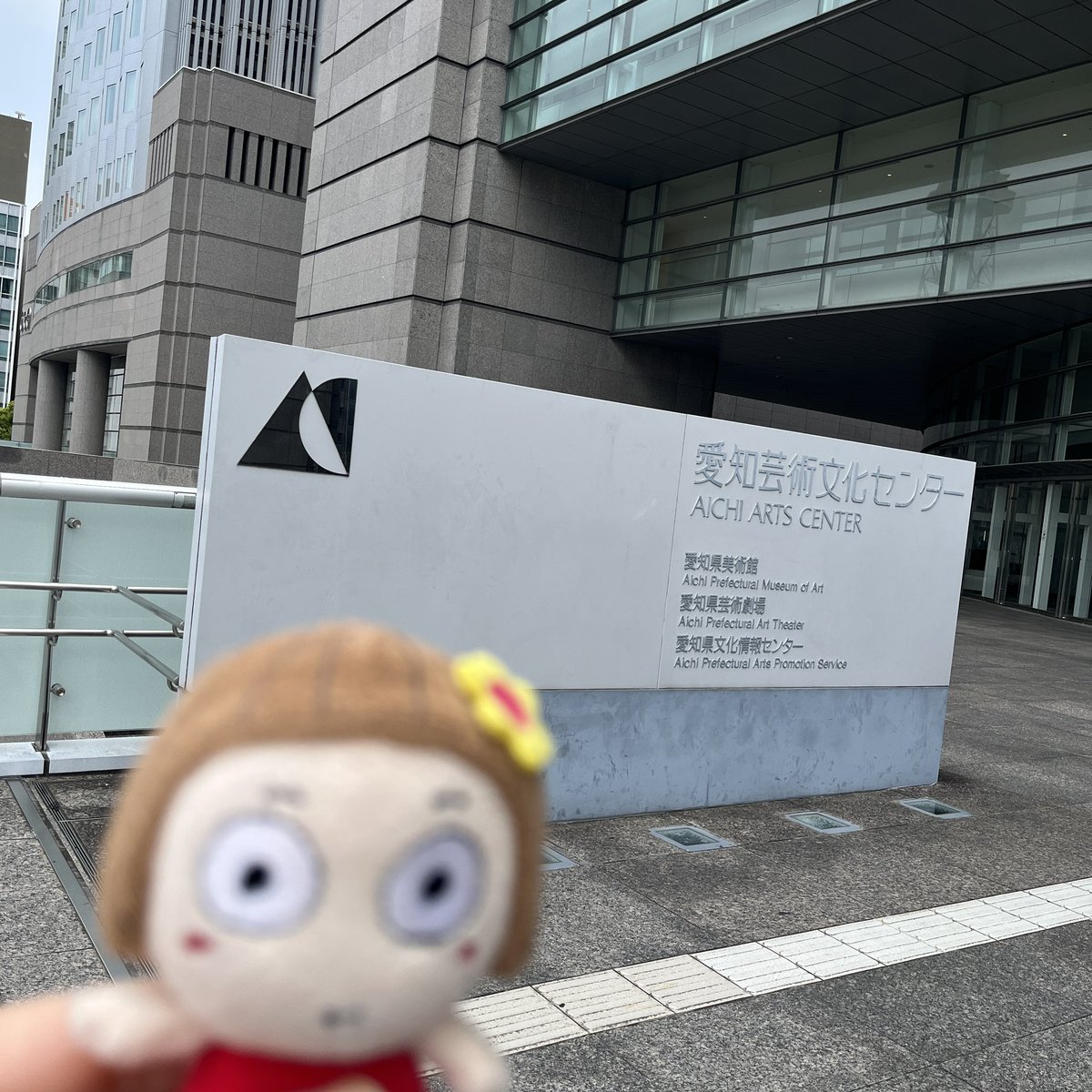あちゅこ𖠿⚘ 𓃟⋆⋆❁.* tweet media