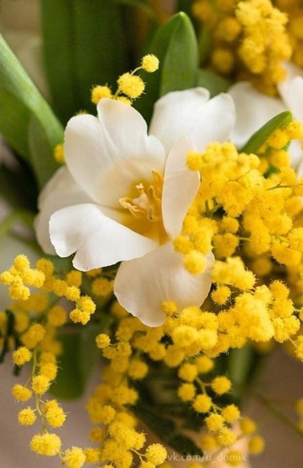 Josette.J ღ tweet media