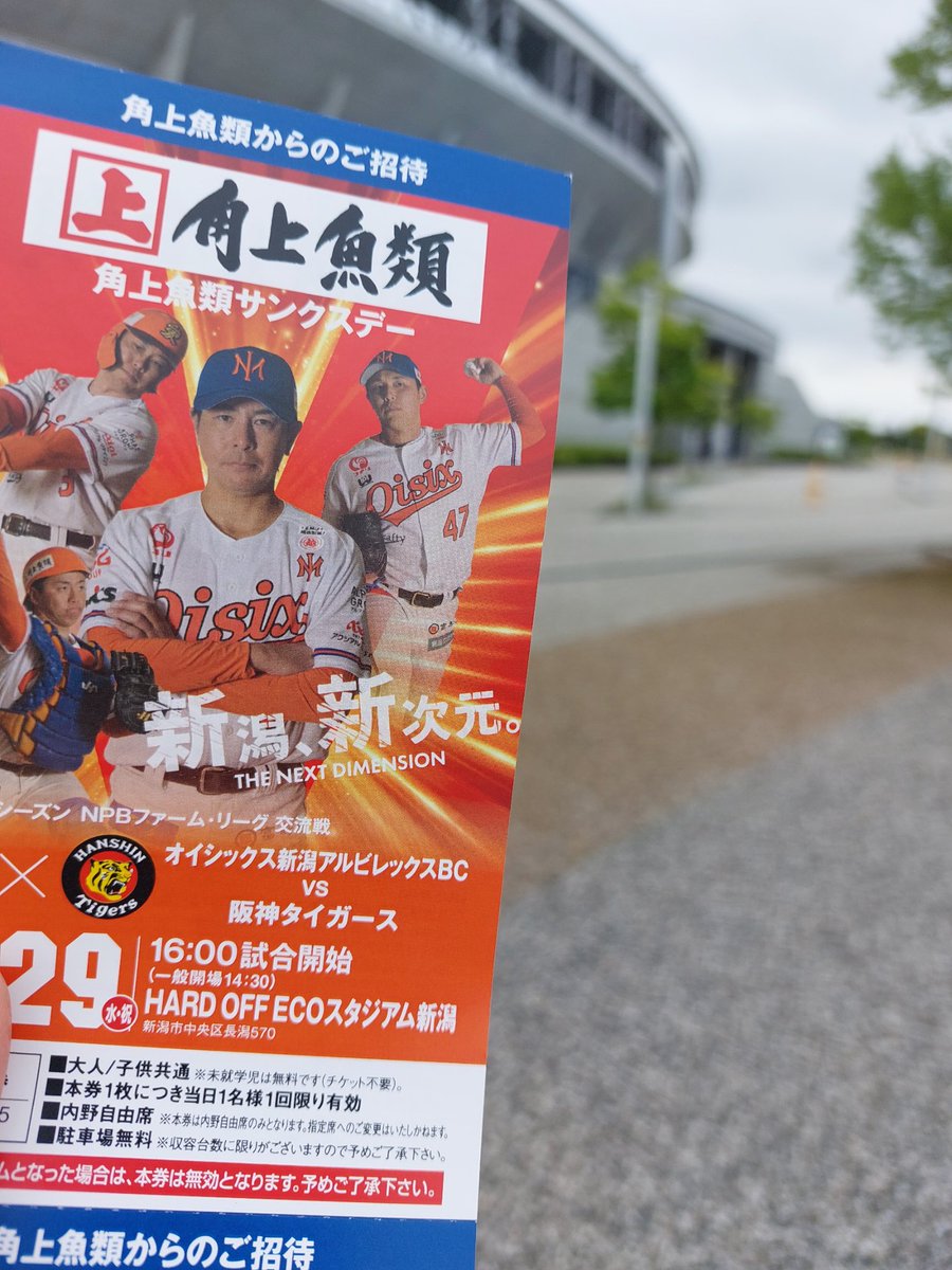 チャイム🔔 tweet media