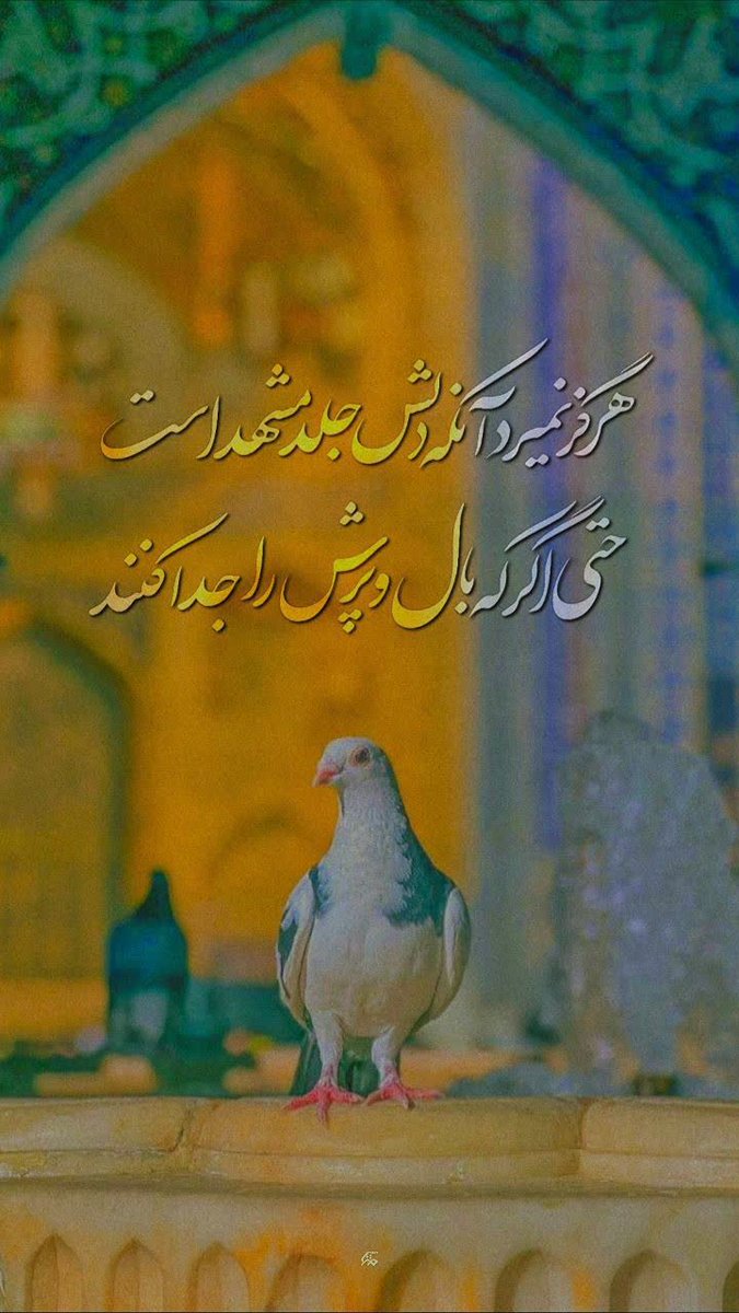 Ghasemi_11 tweet media