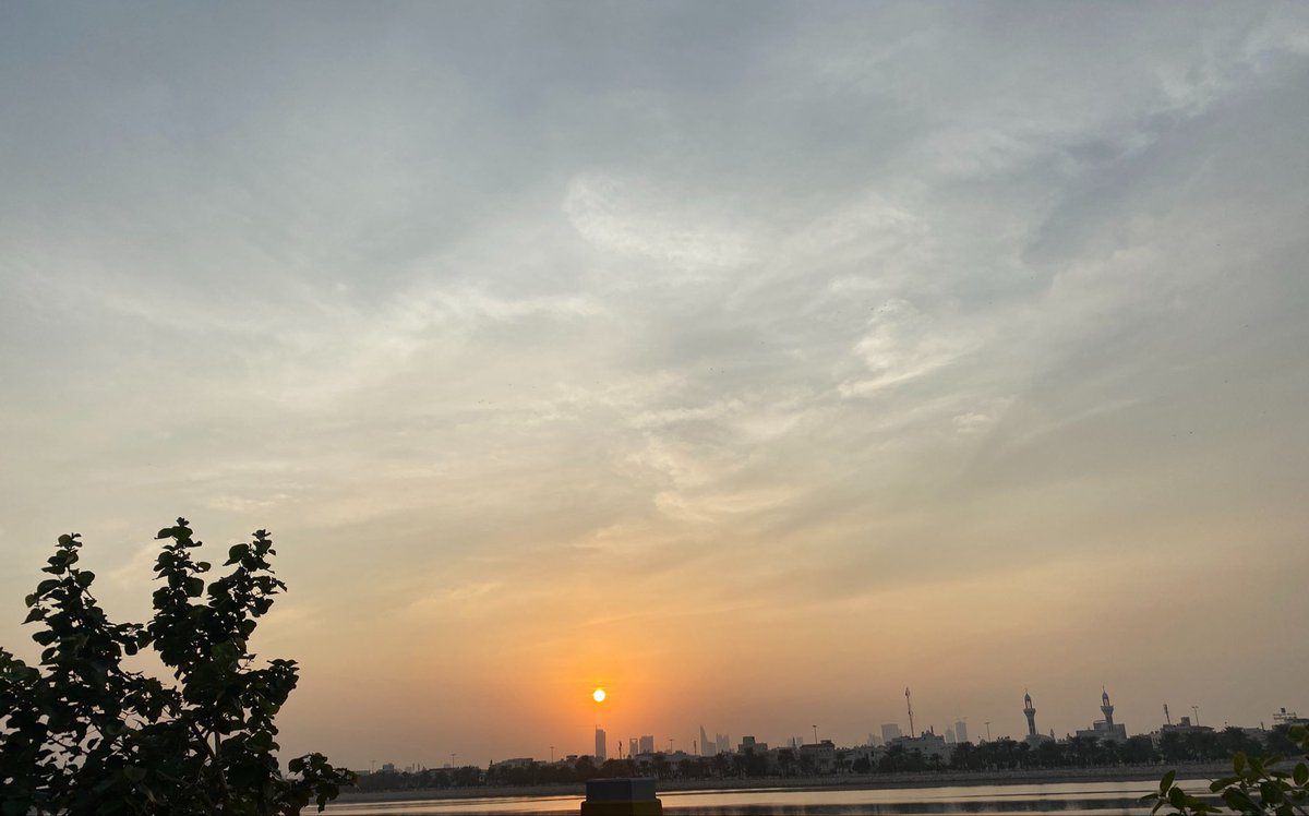 Sou 🐆 tweet media