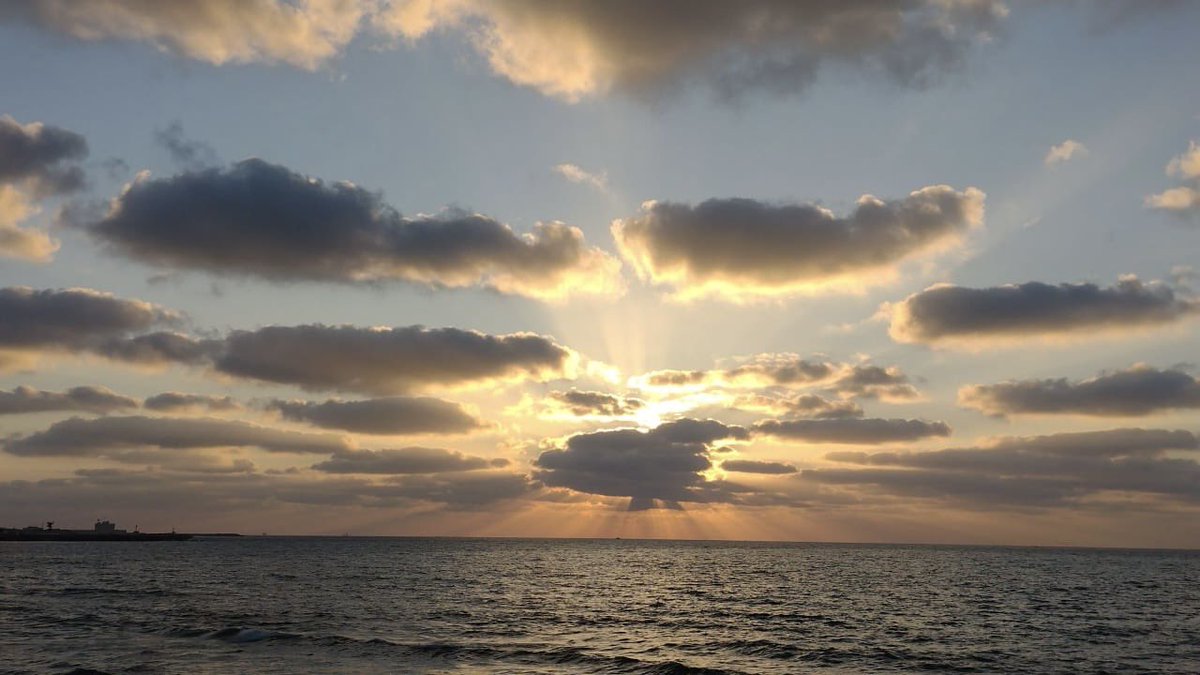 Sou 🐆 tweet media