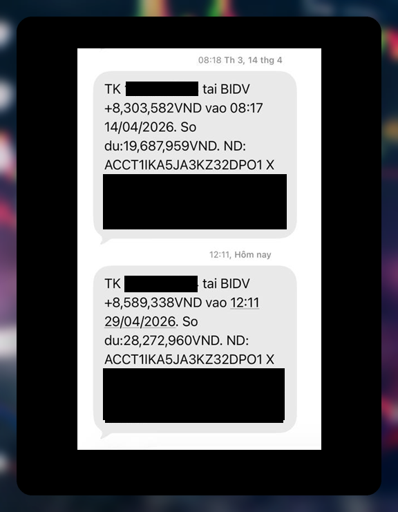 Solo Top tweet media