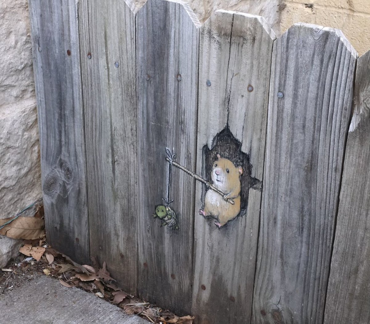 domicela_'s tweet image. Goedemorgen ~ met een kleine leukerd 🌸

#streetart #chalkart #urbanart #art #DavidZinn