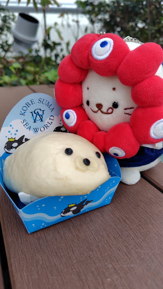 ベビーカステラまだ売ってくれてたし、シャチんとこにはあざらしまんもあった。