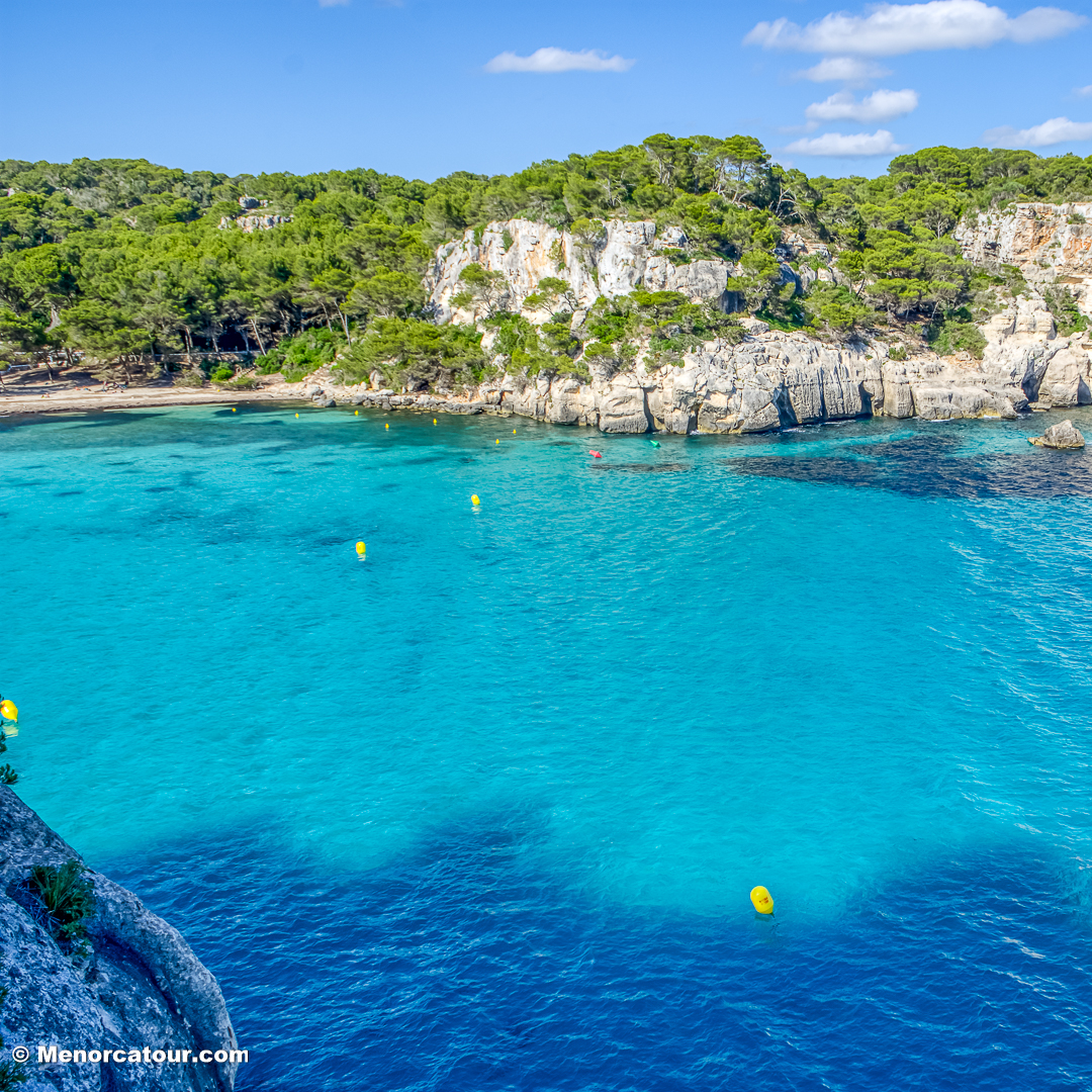 MENORCATOUR's tweet photo. 🌞 Playa de Macarella 🏖️🌊

🔗 Más info: https://t.co/Q2p1HM32Al

👉 Síguenos en @menorcatour
https://t.co/7b3UKg6YOQ

#menorca #menorcaparadise #menorca_eyes #menorcalove #macarella #menorcatour #playas #playasmenorca #macarella #playasvírgenes https://t.co/jthX8FbAca