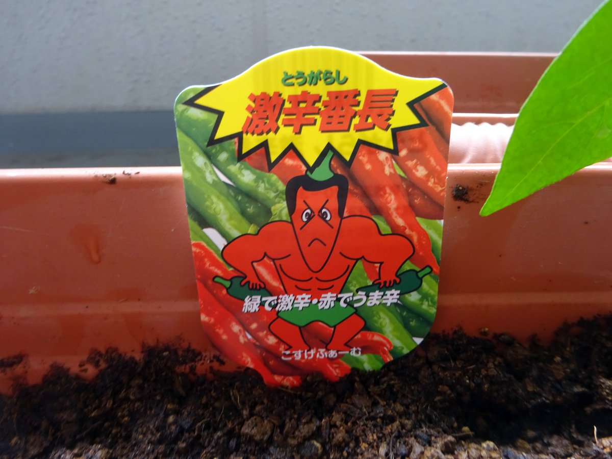 สามปลา7 tweet media