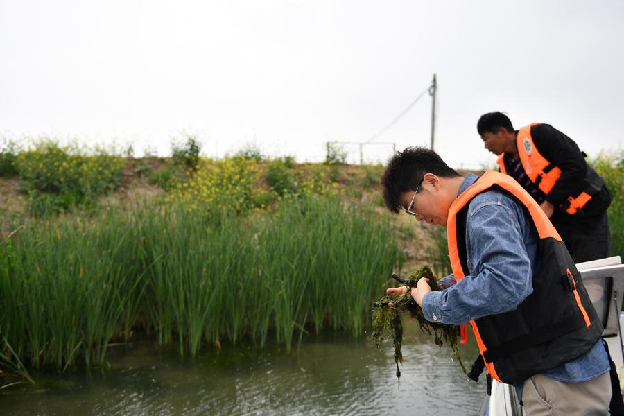 China Science tweet media