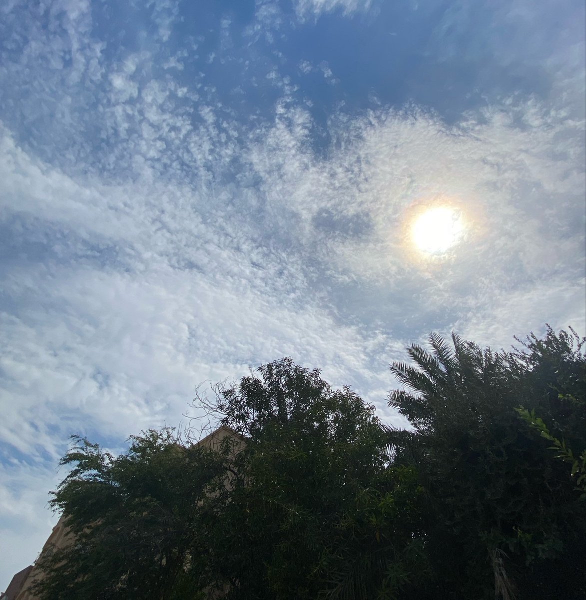 Sou 🐆 tweet media