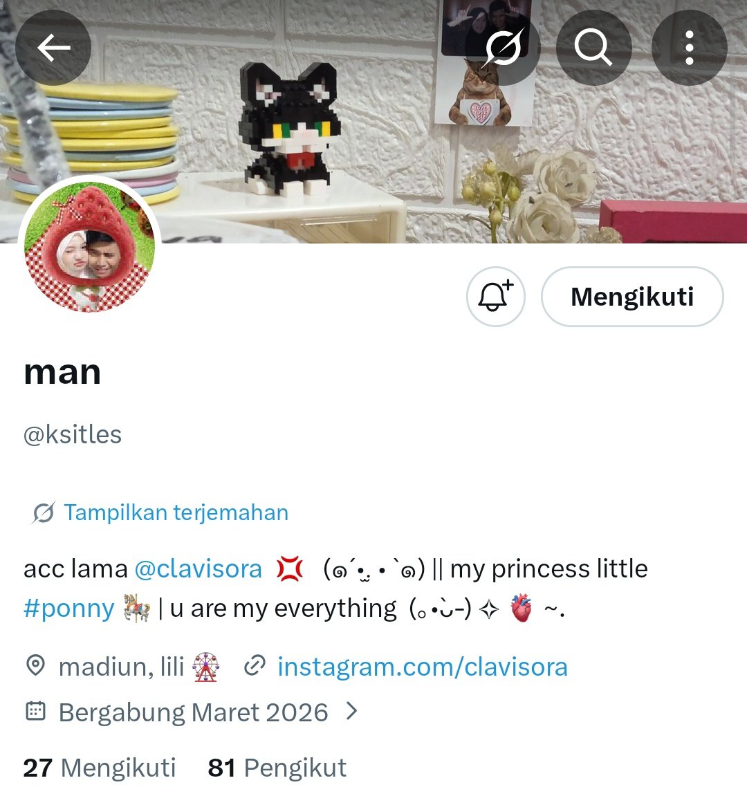 ₊˚𐙚 nadine🦙 tweet media