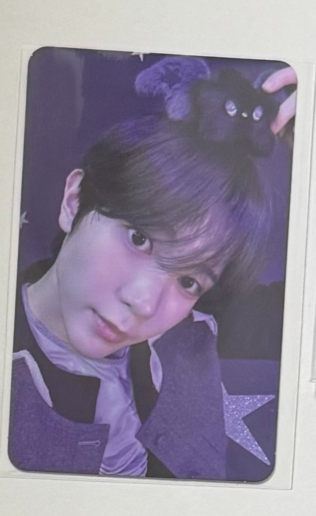 봄 tweet media