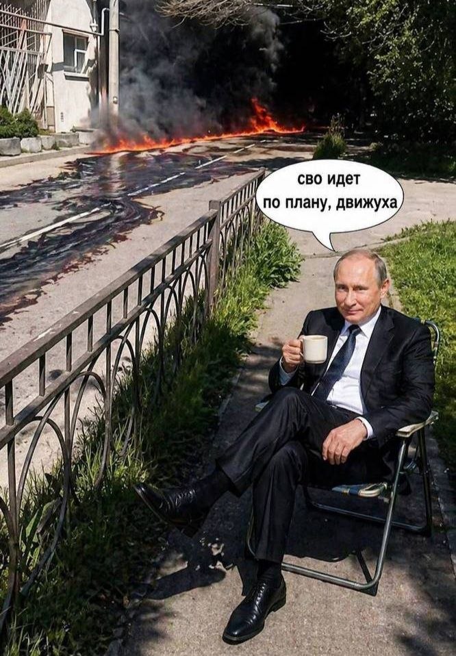 vasul tweet media