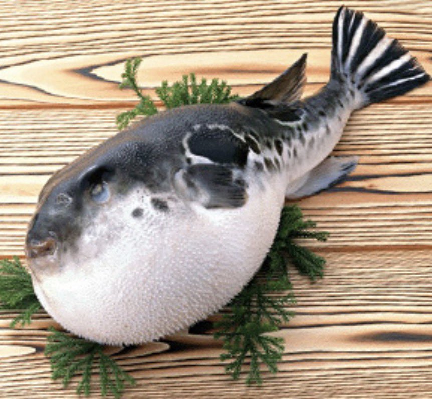 NyanChuu🔮🇯🇵🍭 tweet media