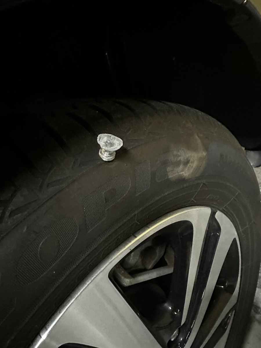 SHO＆M☆🎯 tweet media