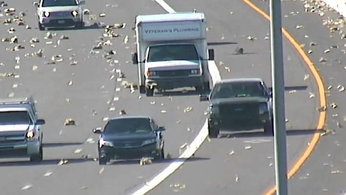 Paul Rees. ex Rucksack. tweet media