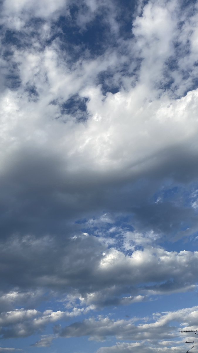 Sou 🐆 tweet media