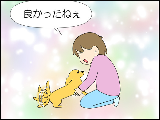 夢でお別れを言いにきてくれたワンコ 3/3
ときどき家族でサクラの思い出話をしています 