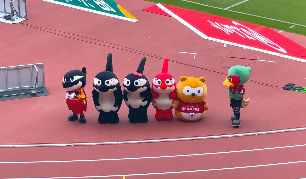 ラピス🍀らぴぴ⛸⚽️ tweet media