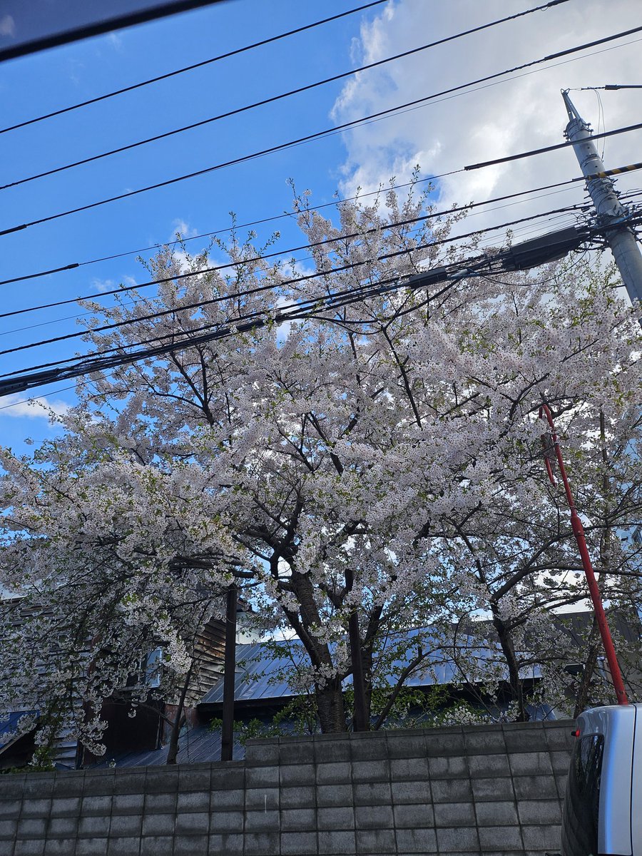 ( 'ω')ikumin ( ᐙ ) ★🍺おつまん北海道支社 tweet media