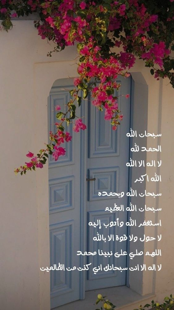 أسيل🦋 tweet media