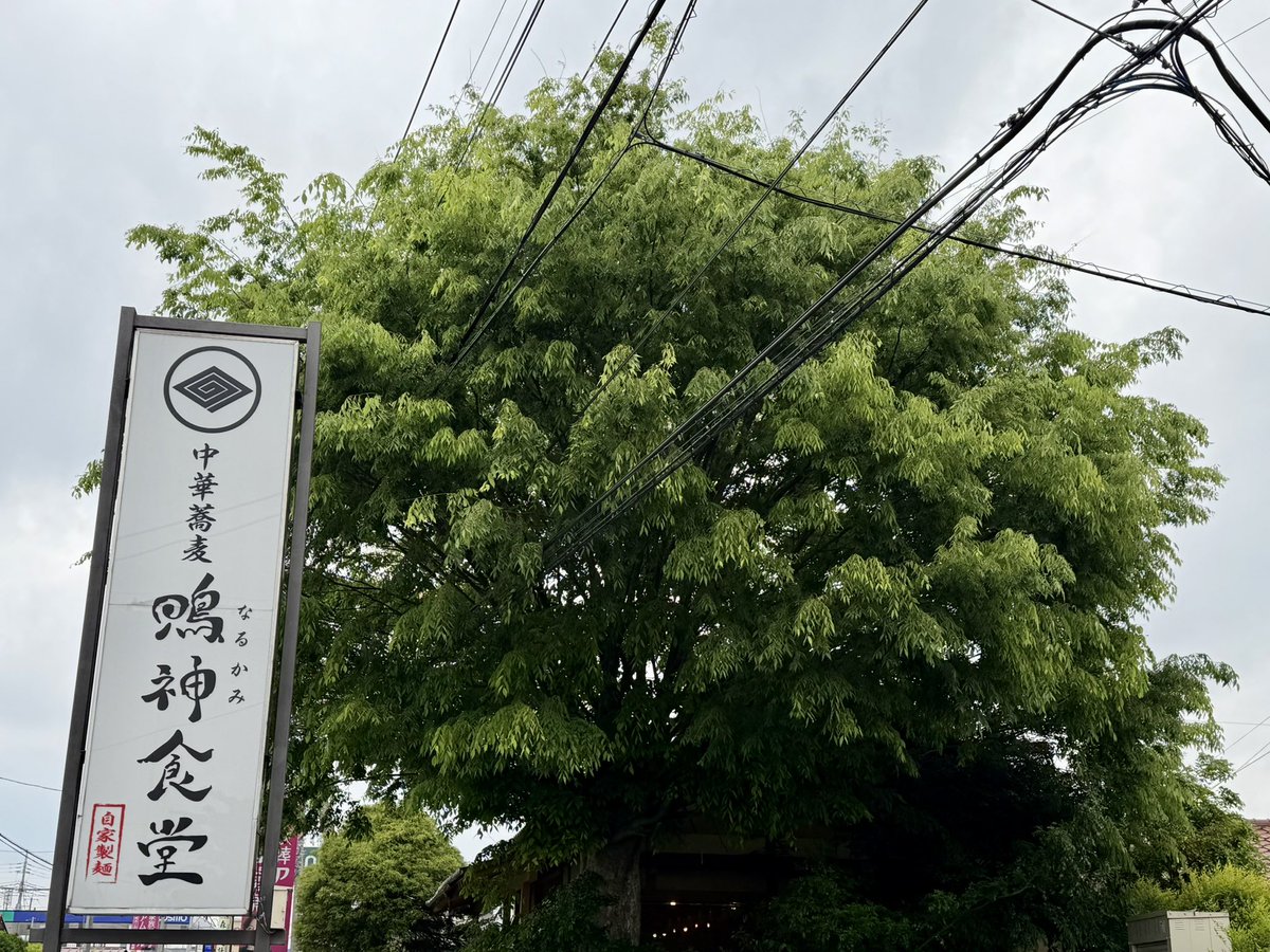 BYSPATS(バイ𝕏スパ) tweet media