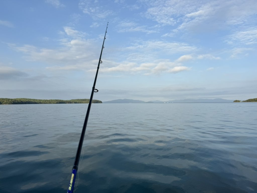 れっどぽんど tweet media