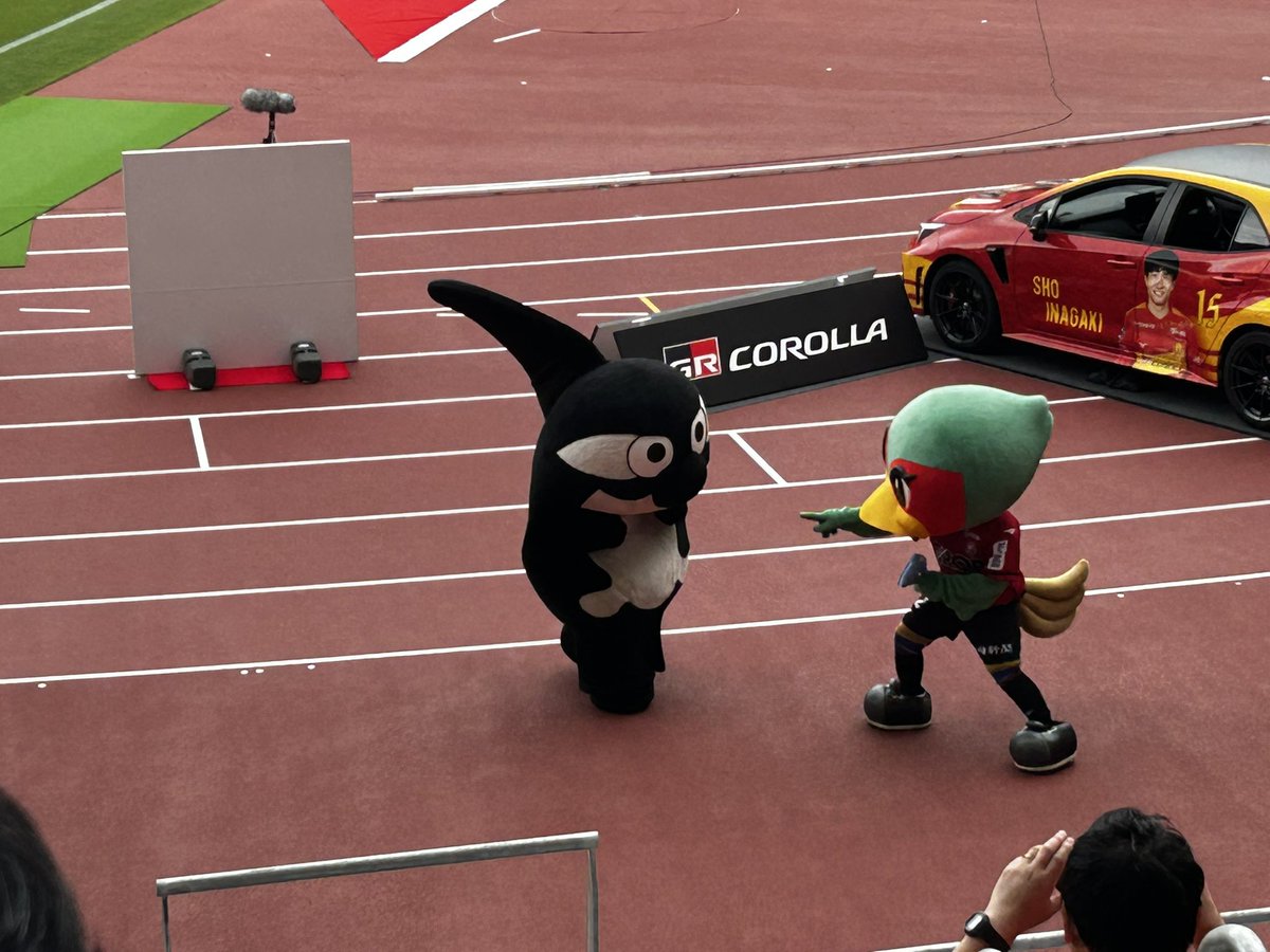 にゃん🐱🐶🐾 tweet media