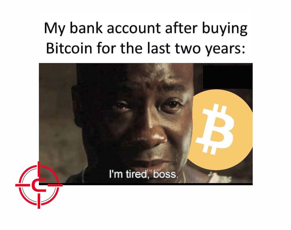 CoinSniper tweet media