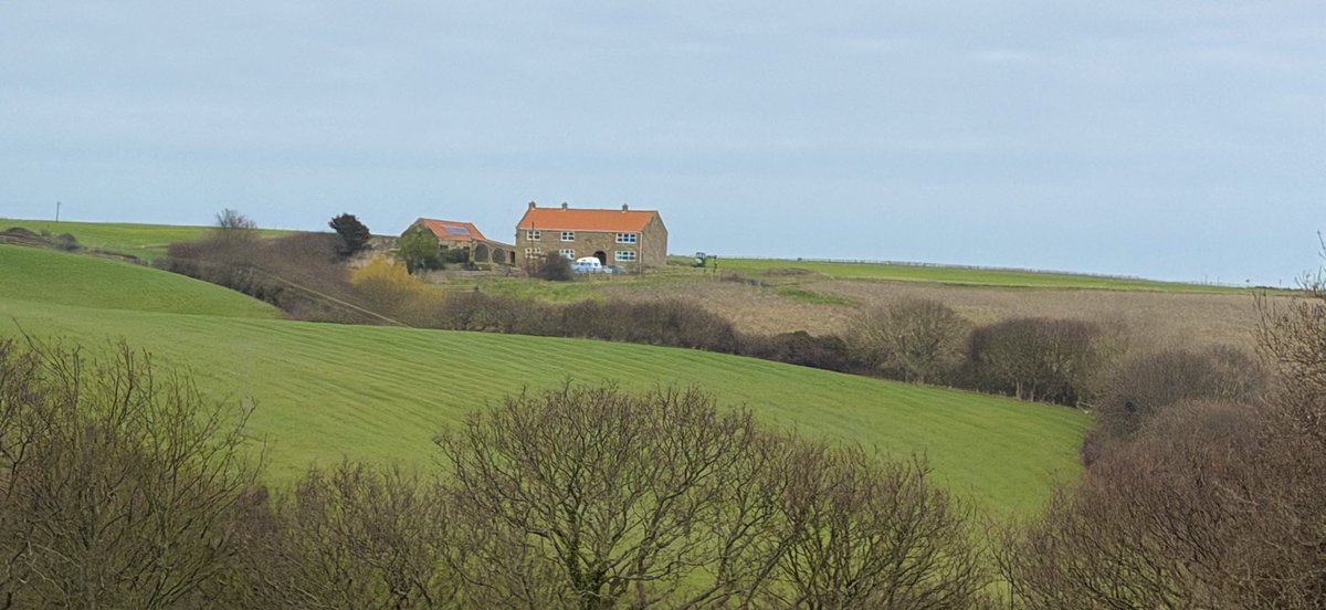 Anne37259256's tweet image. Quintessential Yorkshire views. 🇬🇧🌾
#UKTravel #Yorkshire