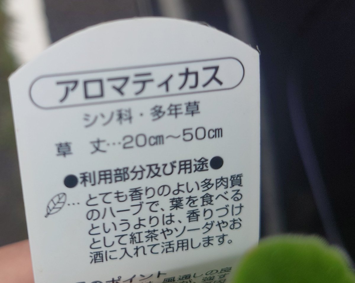 あっきー tweet media
