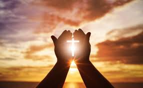 MaryfromMarin's tweet image. No posts/art/memes (or dog videos!) for a few days--I'll be out of town.

May God keep you and yours healthy and safe! 
.#ccot #tcot @PubliusNV @wombat_socho @OldSaltCityAce @Arqahn @JerryMaulden4 @Bwdreyer @nygrlahart @GoldBaron08 @MikeProof