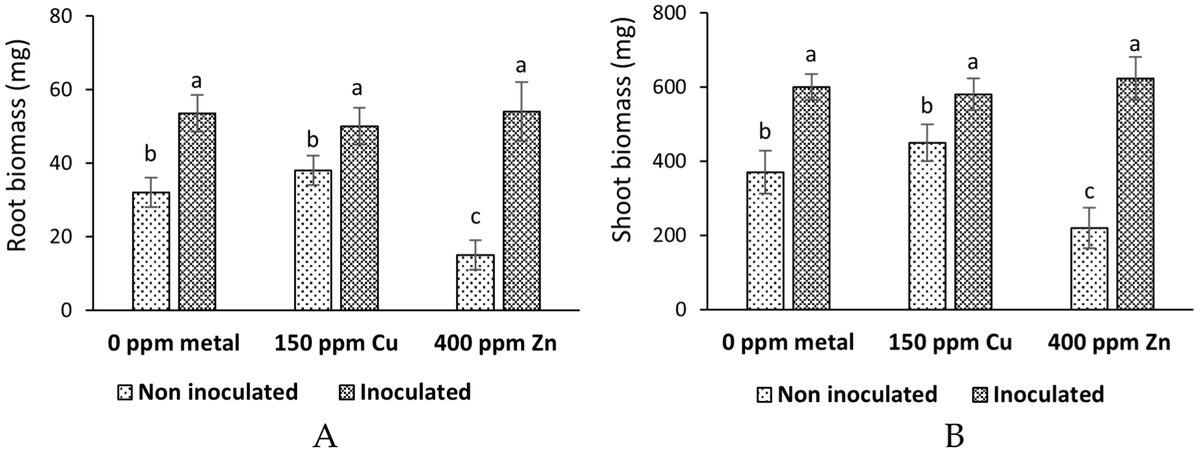 Horticul_MDPI's tweet image. 🥬 Beneficial bacteria can enhance lettuce growth even under heavy metal stress.

📘 Title: Biofilm of B. subtilis as a Growth Promoter of #Lettuce (Lactuca sativa L.) in the Presence of Heavy Metals.

🔍 Discover the full study: mdpi.com/2311-7524/12/2…

#MDPI #horticulture