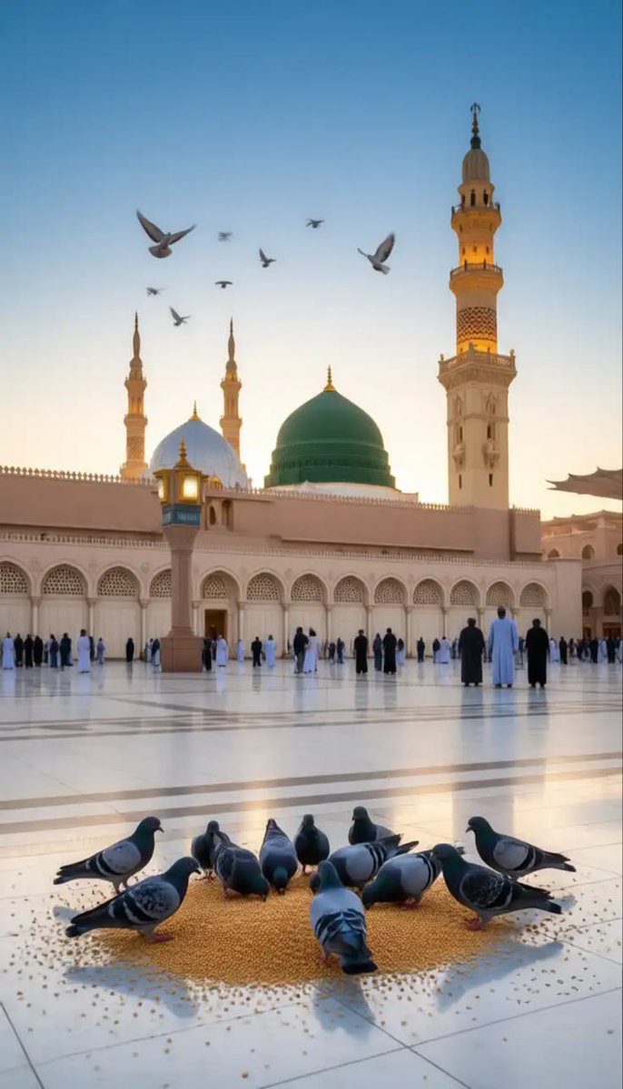 Hafiz Nadeem tweet media