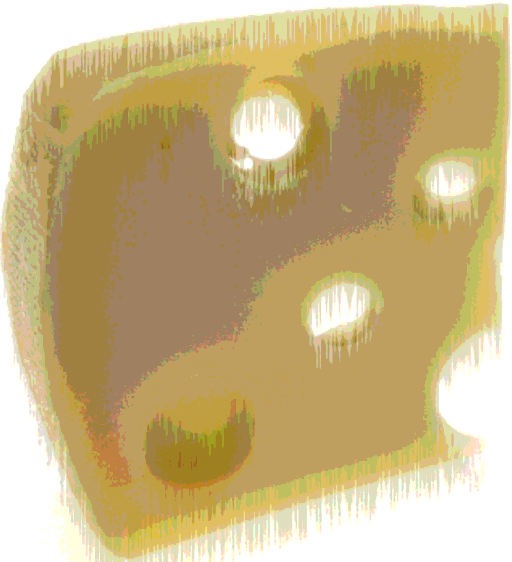 swiss cheese