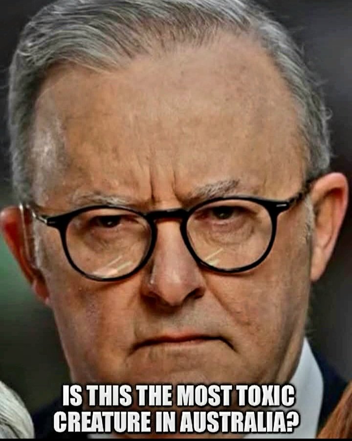 Australian Patriot. tweet media