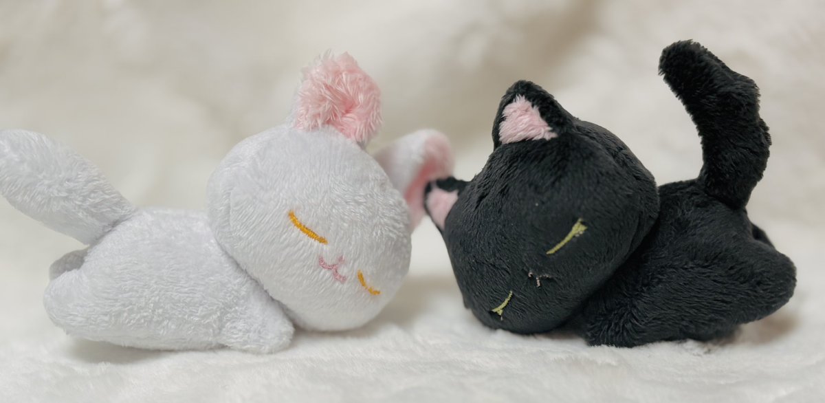 릴리피피🎀 tweet media