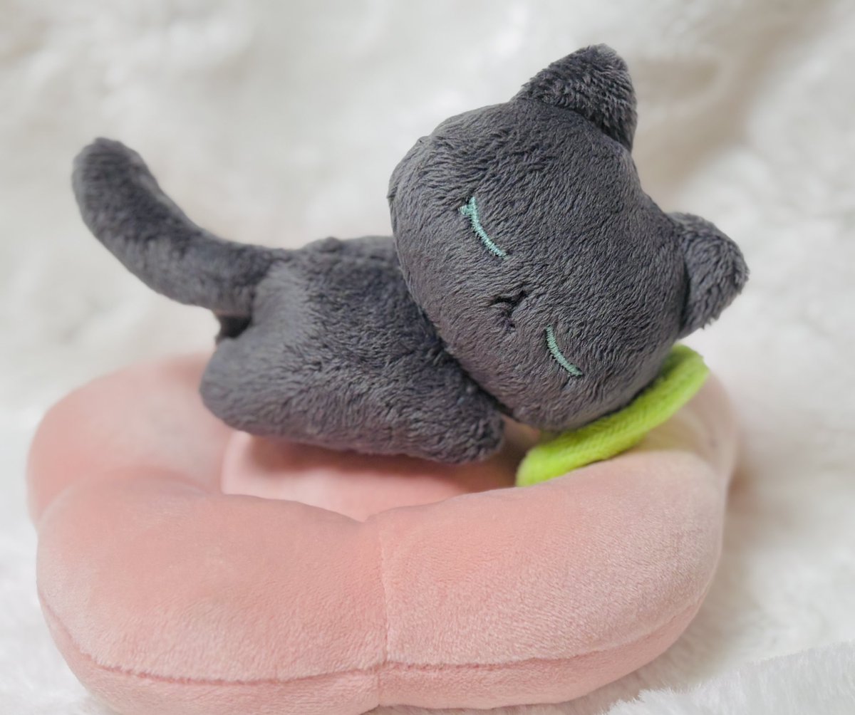 릴리피피🎀 tweet media