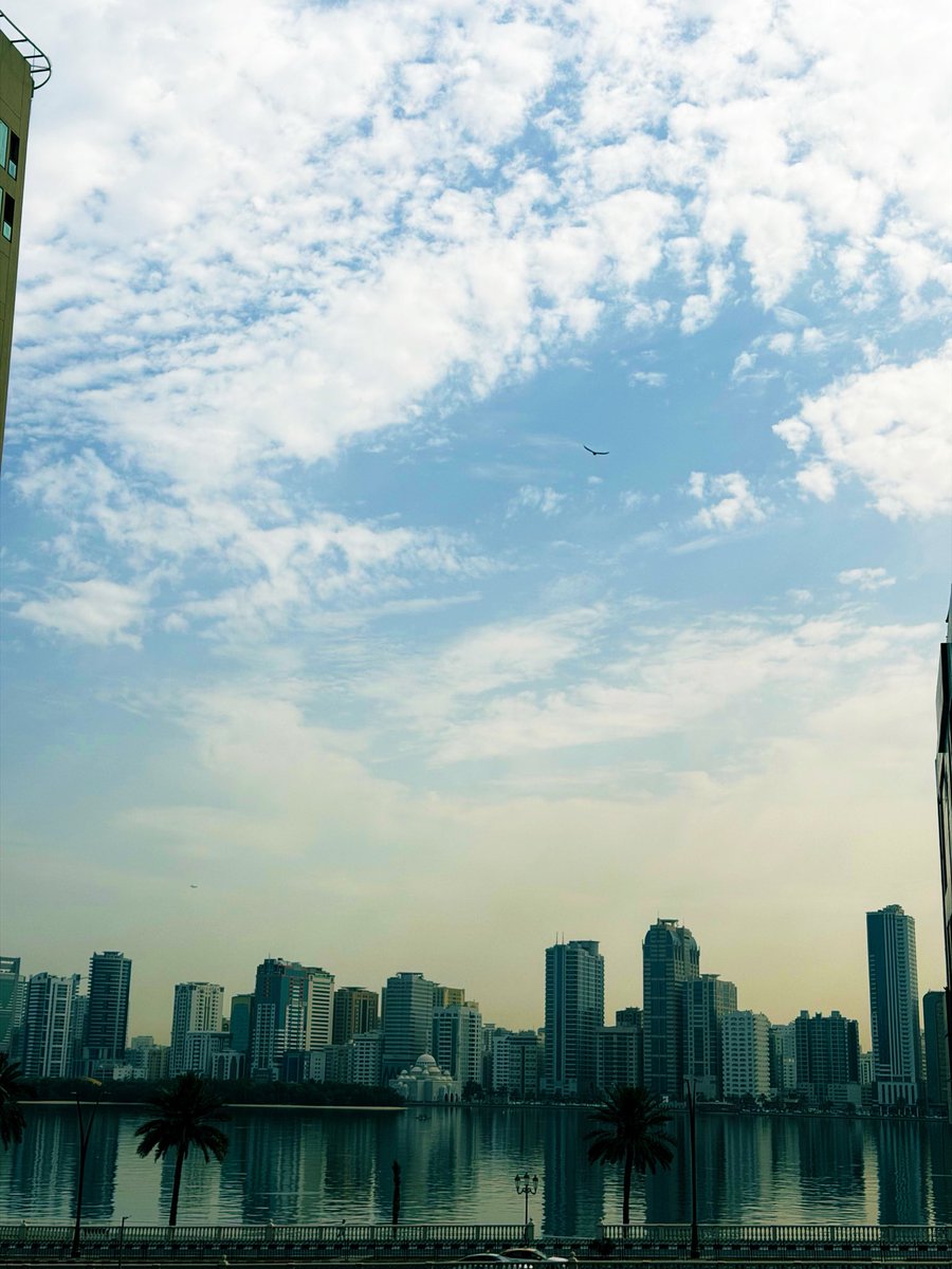 Ambarseriya's tweet image. Good morning 
Woke up to a beautiful morning 
But first thing #coffee