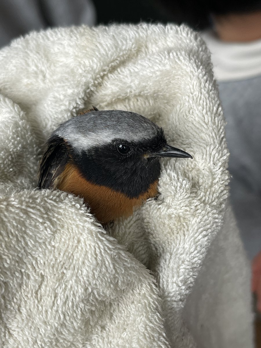 초록달팽이쌤 tweet media