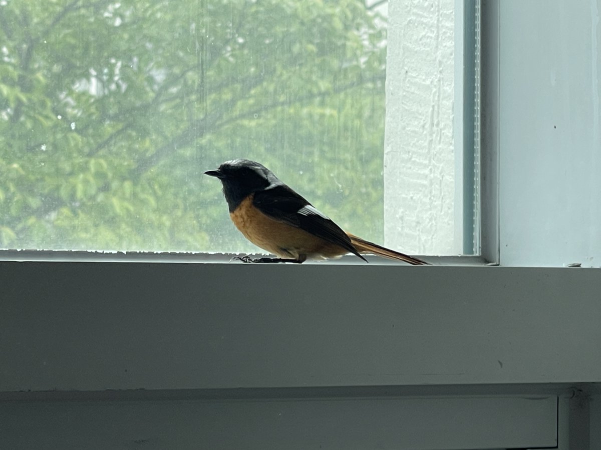 초록달팽이쌤 tweet media