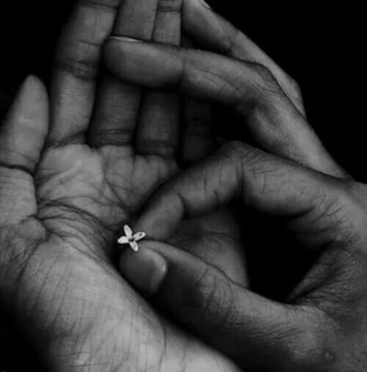 آلُِآبَدِشُ tweet media