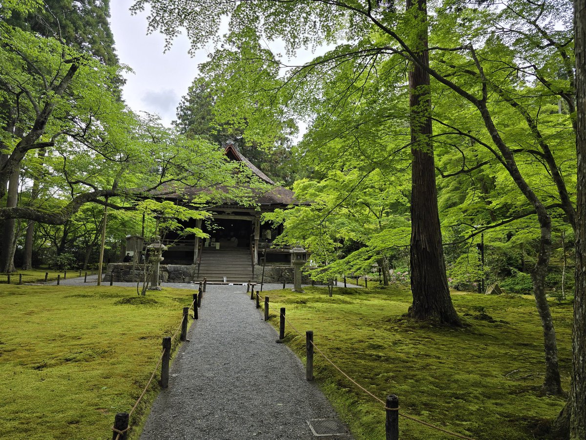 kyo_yon 💗용화🤙🌈 tweet media