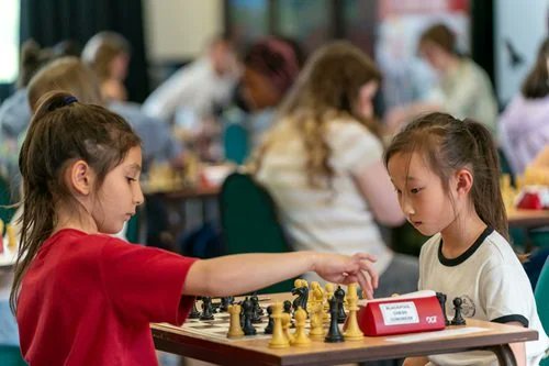 Chess in Schools and Communities tweet media