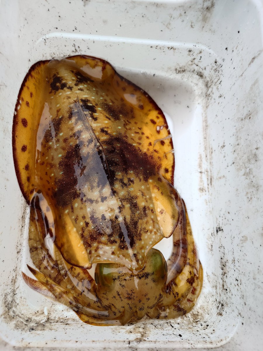 相模のTaka tweet media