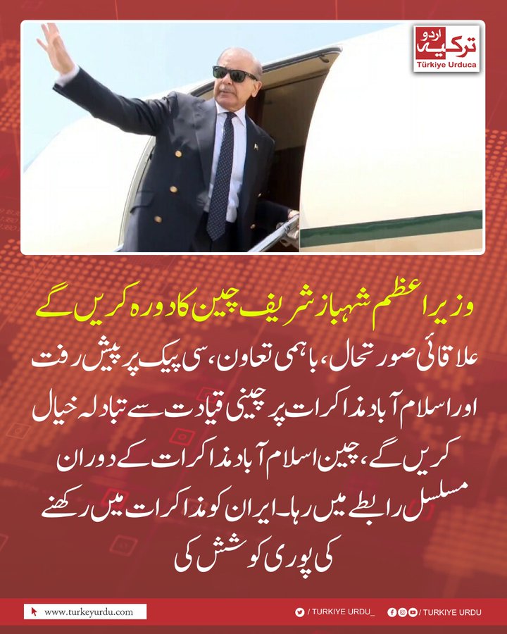 Mahnoor tweet media